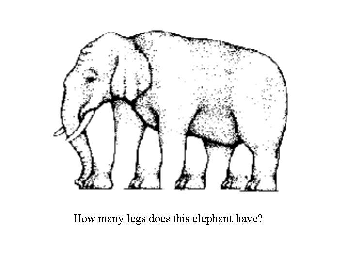 Elephant illusion